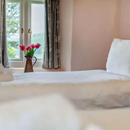 4 Bed In Kendal Oc-sz535 Prázdninový dům